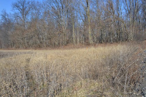 Property photo 25 - East Allen County - 55 Acre Land Auction